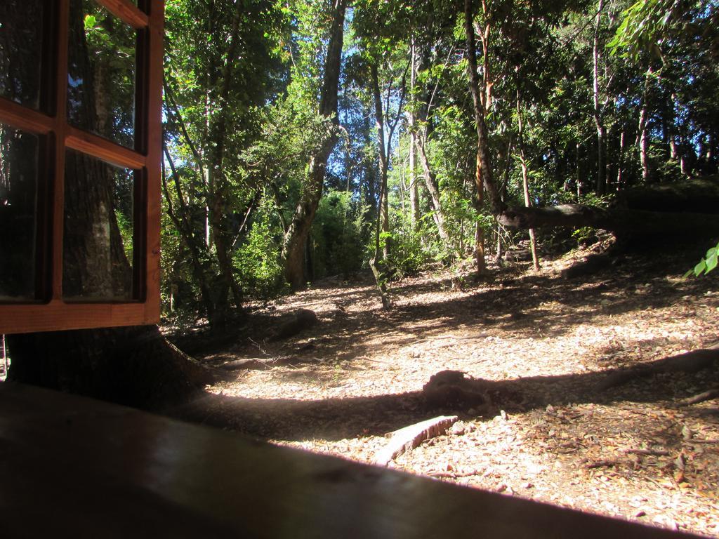 Cabana Rustica Patagonia Chilena Conaripe Ruang foto